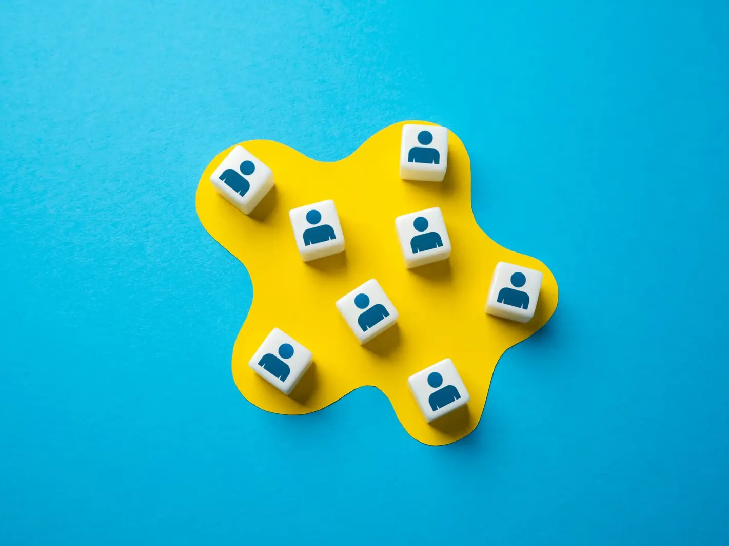 Professional Website Design services by Local Marketing Plus SEO in Abbotsford, British Columbia &mdash; licensed SEO Agency provider